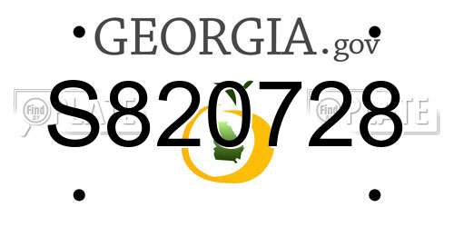 S820728 Georgia License Plate