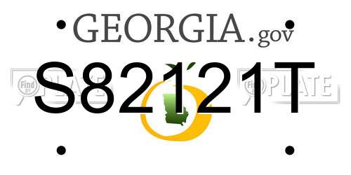 S82121T Georgia License Plate