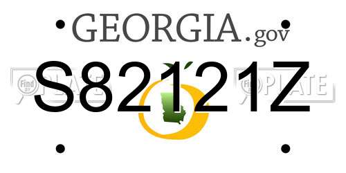 S82121Z Georgia License Plate