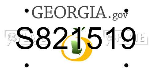 S821519 Georgia License Plate