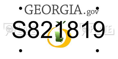 S821819 Georgia License Plate