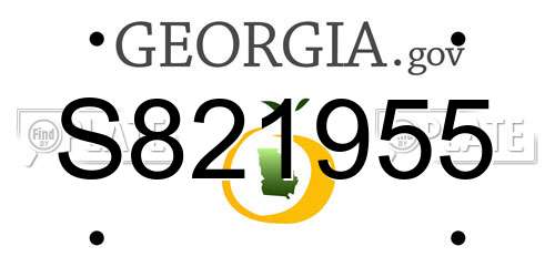 S821955 Georgia License Plate