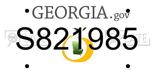 S821985 Georgia License Plate