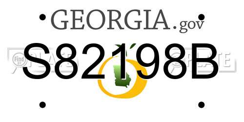 S82198B Georgia License Plate