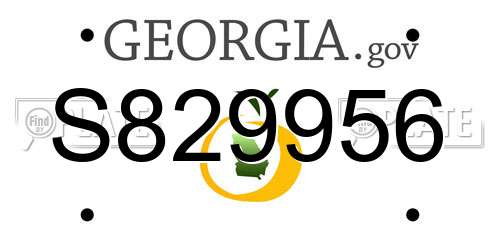 S829956 Georgia License Plate