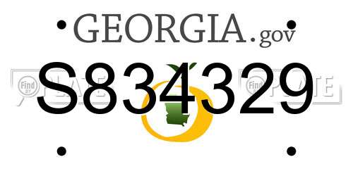 S834329 Georgia License Plate