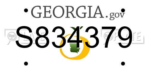 S834379 Georgia License Plate