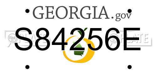 S84256E Georgia License Plate