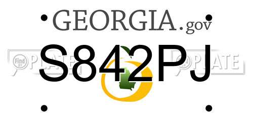 S842PJ Georgia License Plate
