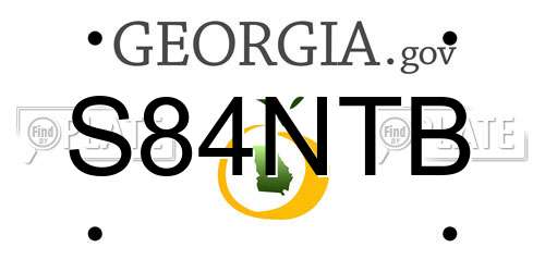 S84NTB Georgia License Plate