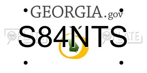 S84NTS Georgia License Plate