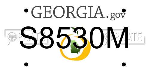 S8530M Georgia License Plate