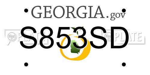 S853SD Georgia License Plate