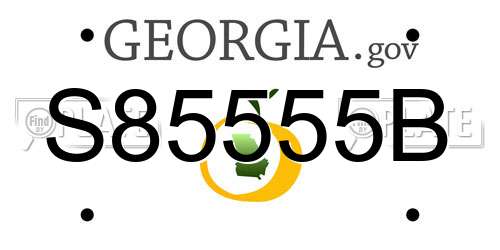 S85555B Georgia License Plate