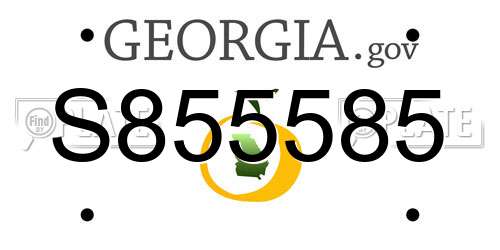 S855585 Georgia License Plate
