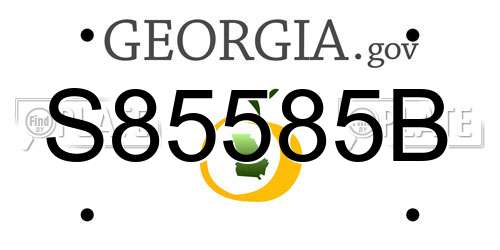 S85585B Georgia License Plate