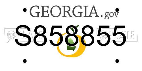 S858855 Georgia License Plate