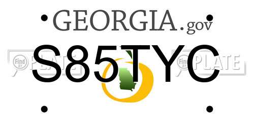 S85TYC Georgia License Plate