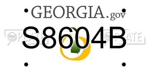 S8604B Georgia License Plate