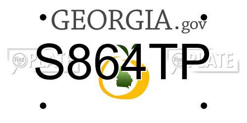 S864TP Georgia License Plate