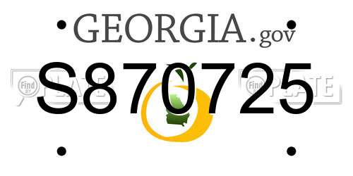 S870725 Georgia License Plate