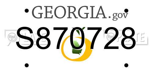S870728 Georgia License Plate