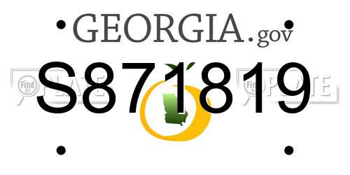 S871819 Georgia License Plate