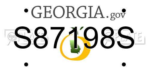 S87198S Georgia License Plate