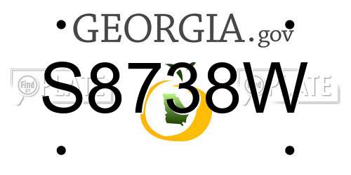 S8738W Georgia License Plate