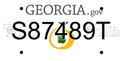 S87489T Georgia License Plate