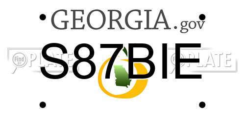 S87BIE Georgia License Plate