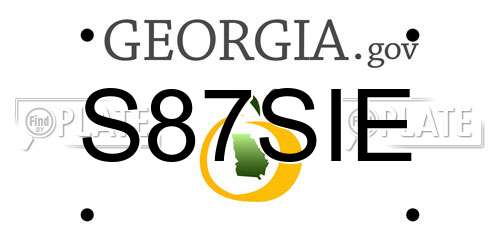 S87SIE Georgia License Plate