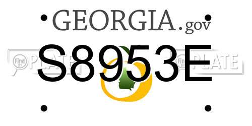 S8953E Georgia License Plate