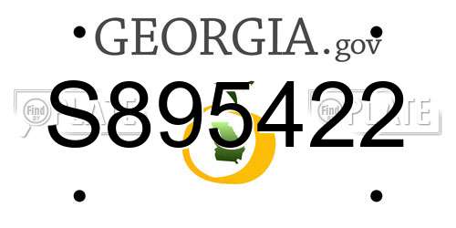 S895422 Georgia License Plate