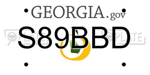 S89BBD Georgia License Plate