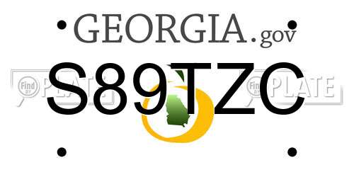 S89TZC Georgia License Plate