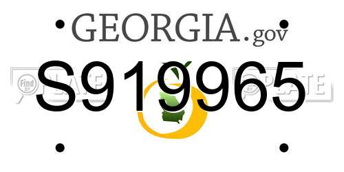 S919965 Georgia License Plate
