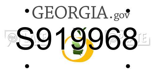 S919968 Georgia License Plate