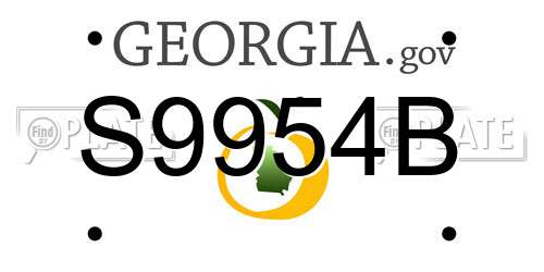 S9954B Georgia License Plate