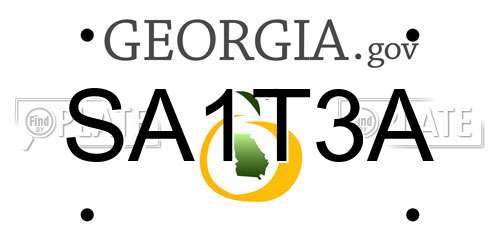 SA1T3A Georgia License Plate