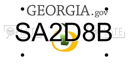 SA2D8B Georgia License Plate