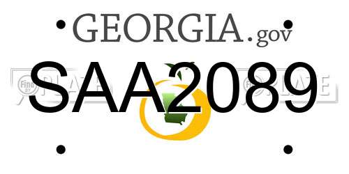 SAA2089 Georgia License Plate