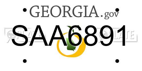 SAA6891 Georgia License Plate