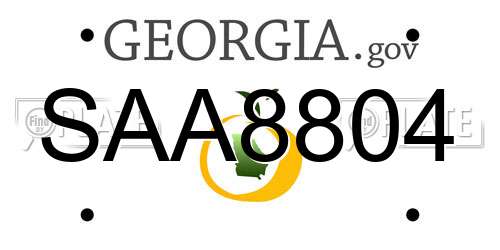 SAA8804 Georgia License Plate