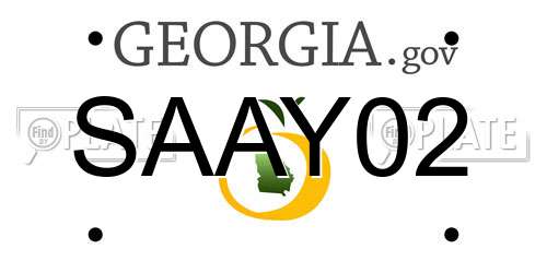SAAY02 Georgia License Plate
