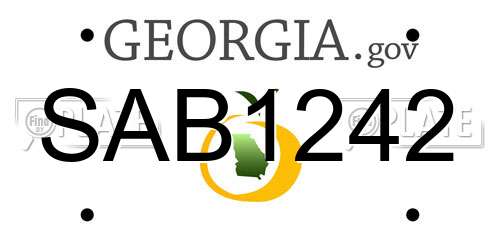 SAB1242 Georgia License Plate