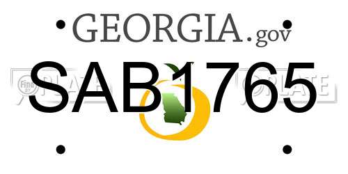 SAB1765 Georgia License Plate