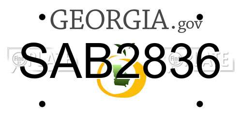 SAB2836 Georgia License Plate