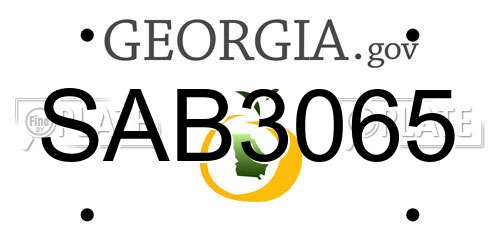 SAB3065 Georgia License Plate