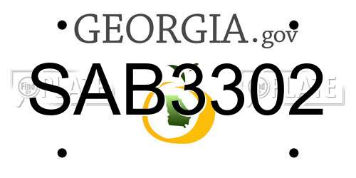 SAB3302 Georgia License Plate